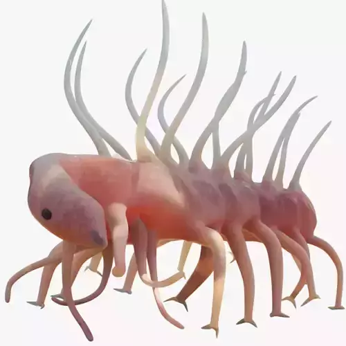 Hallucigenia
