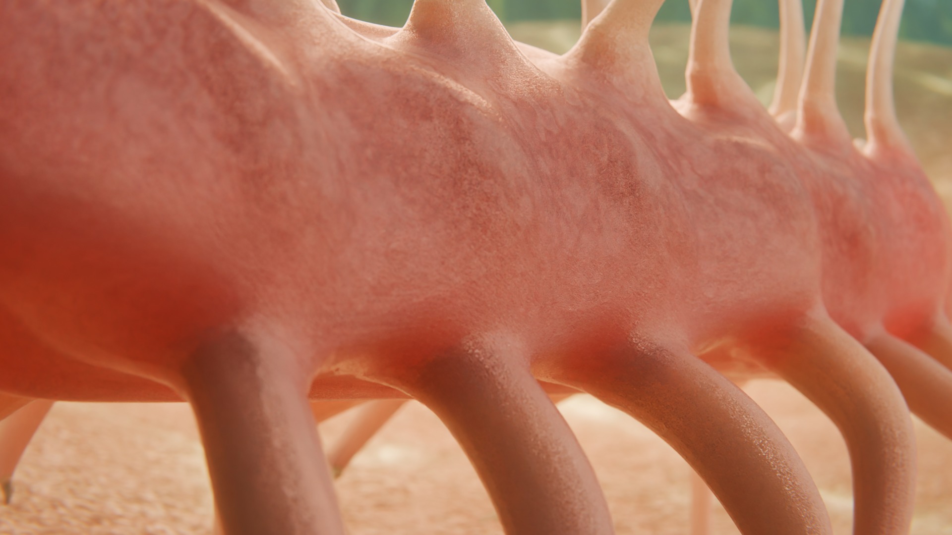 Hallucigenia Low-poly 3D model_5