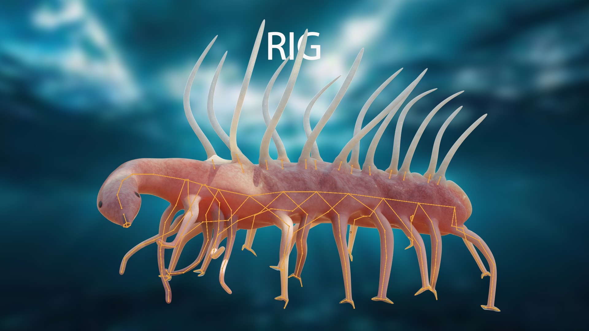 Hallucigenia Low-poly 3D model_10