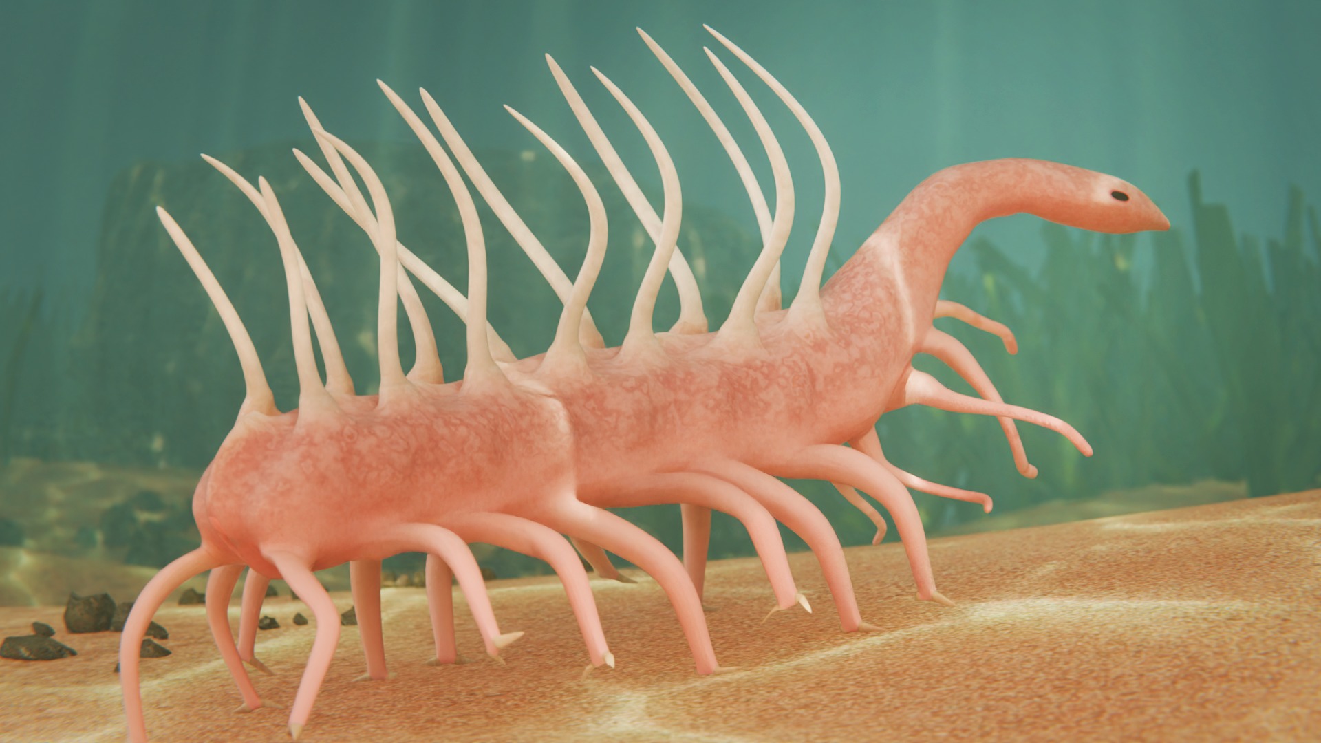 Hallucigenia Low-poly 3D model_6