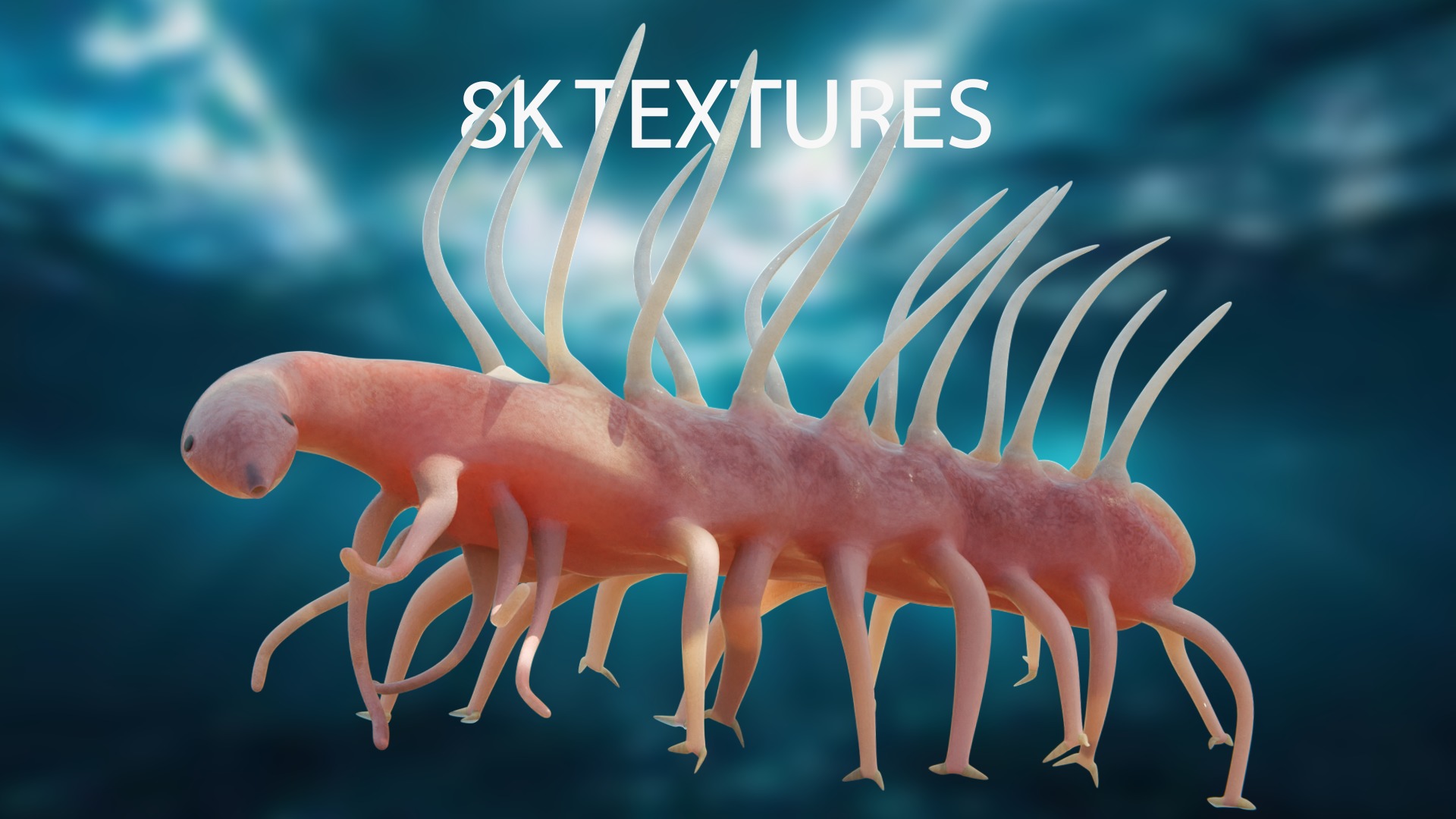 Hallucigenia Low-poly 3D model_9