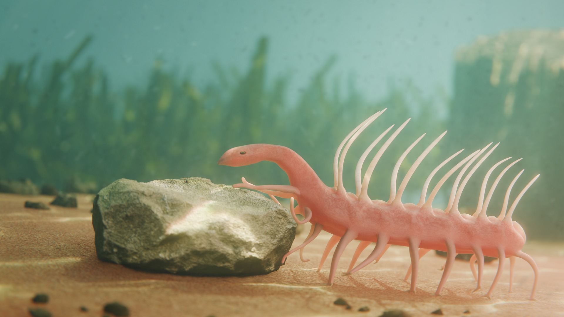 Hallucigenia Low-poly 3D model_2