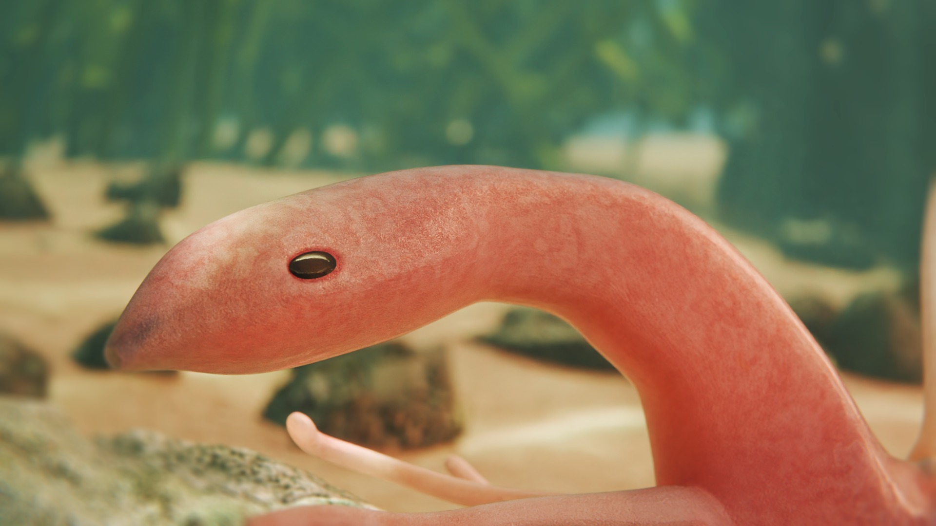 Hallucigenia Low-poly 3D model_3