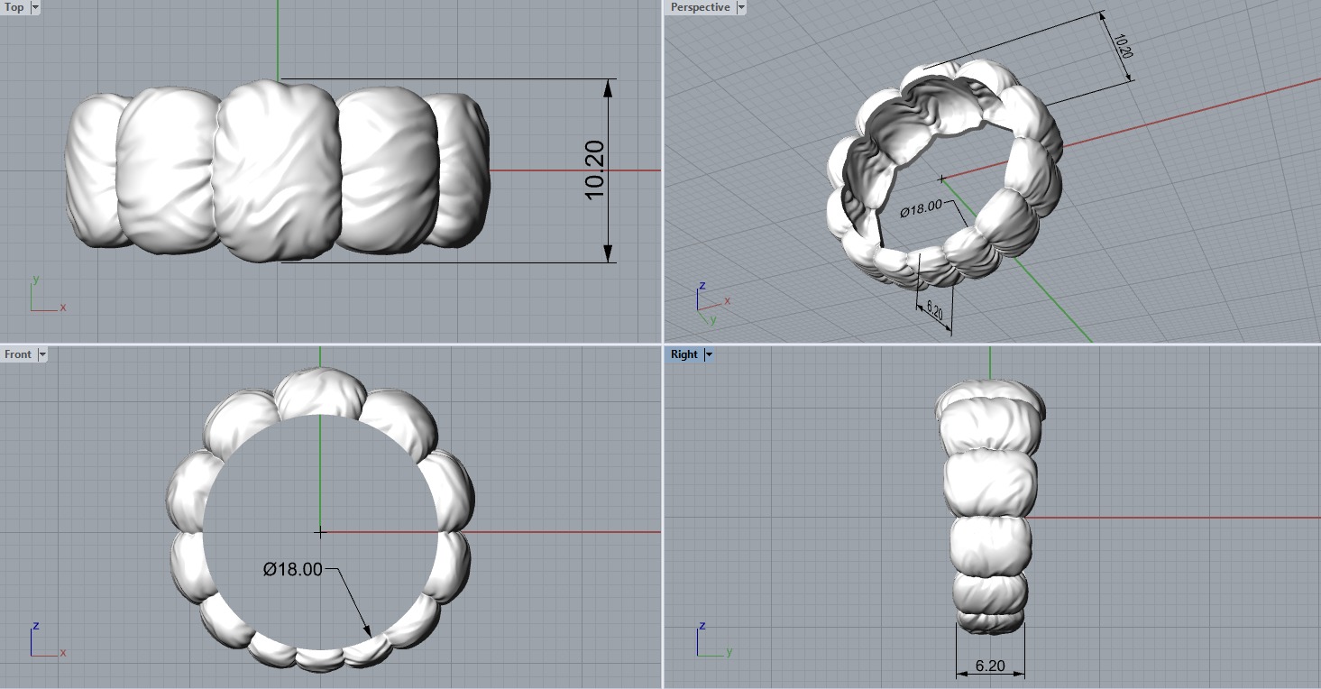 Fashion Down Jacket ring R52 all sizes 3D print model_2