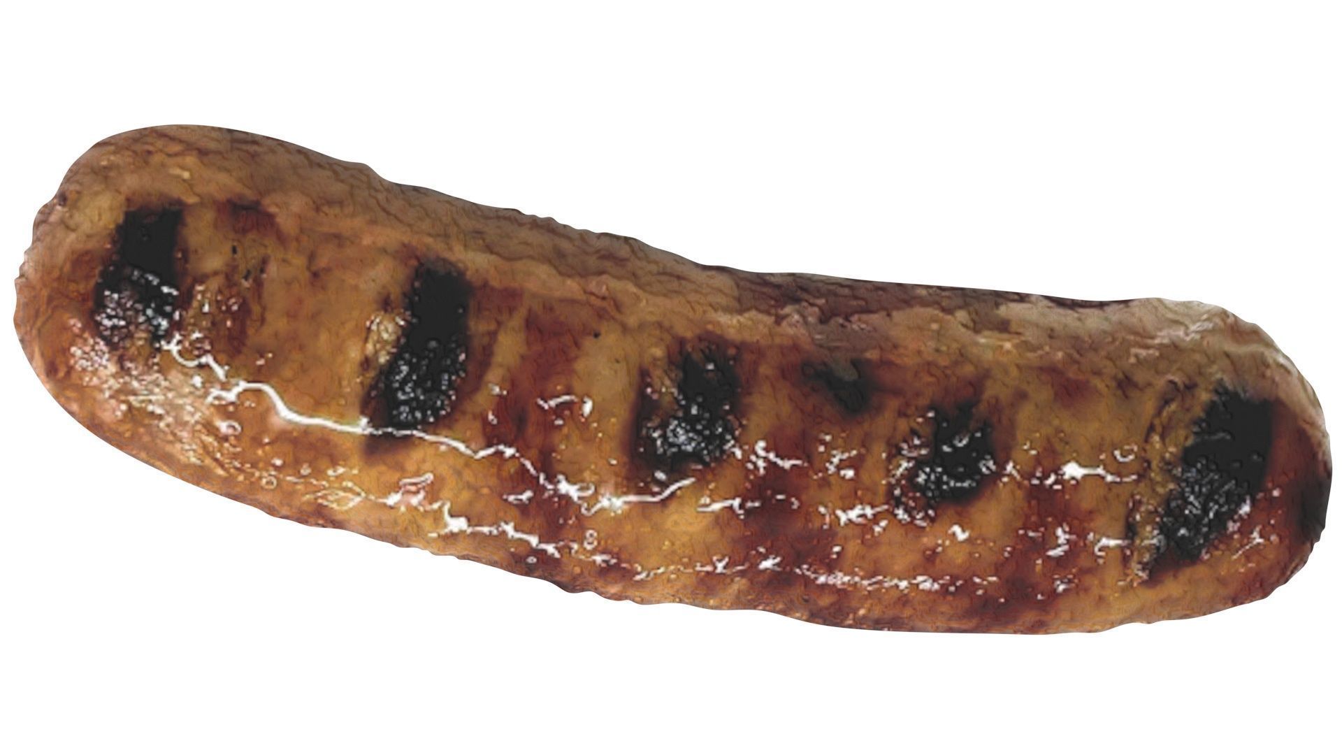 Grilled Sausage 3D model_16