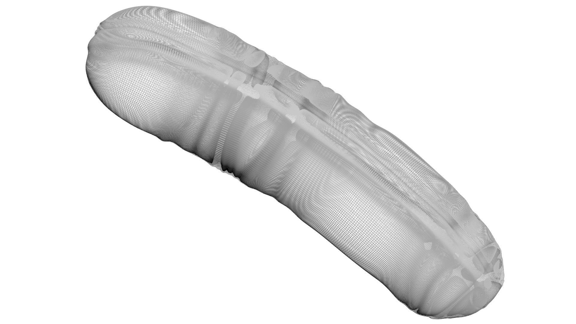 Grilled Sausage 3D model_20