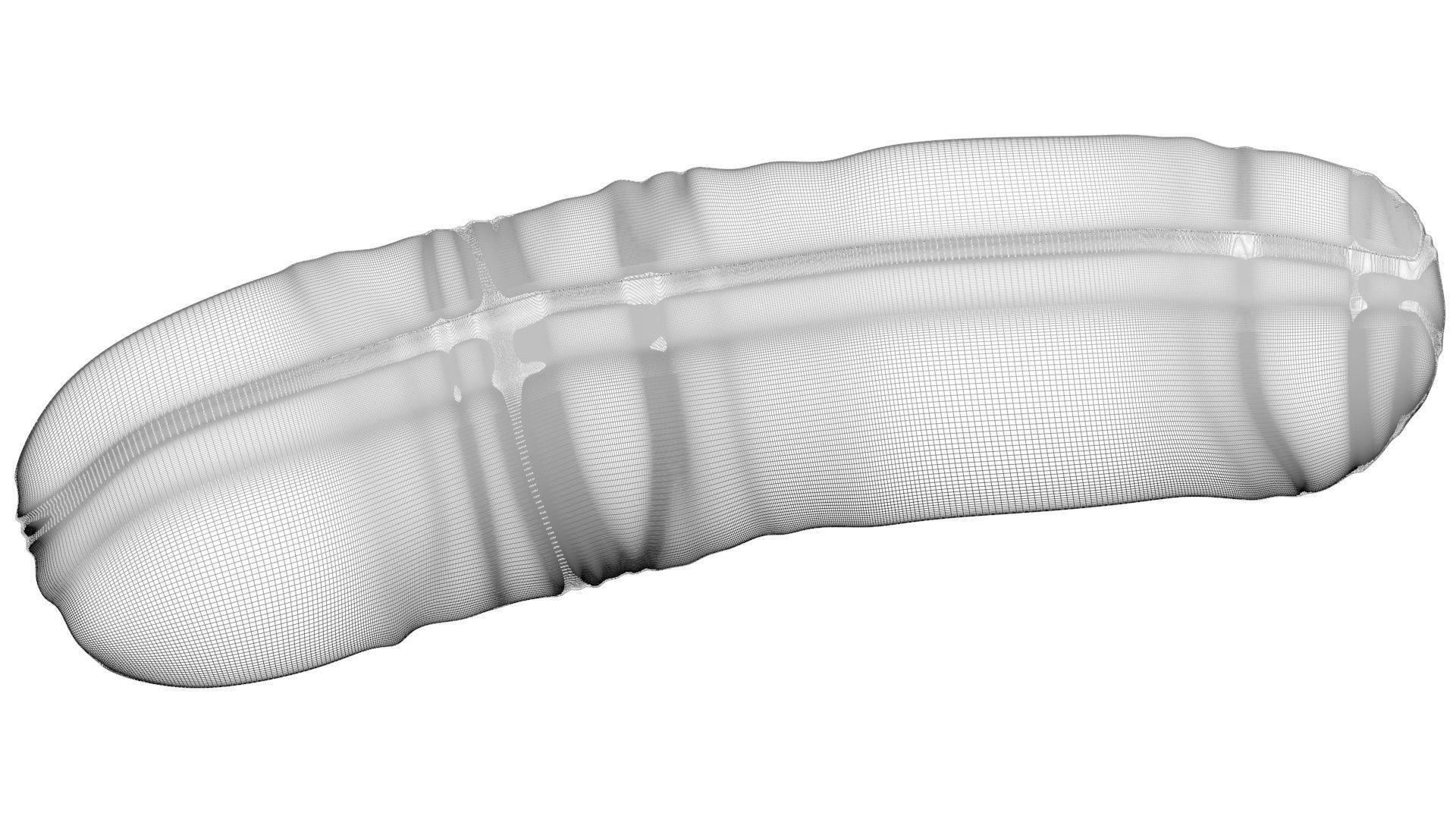 Grilled Sausage 3D model_25