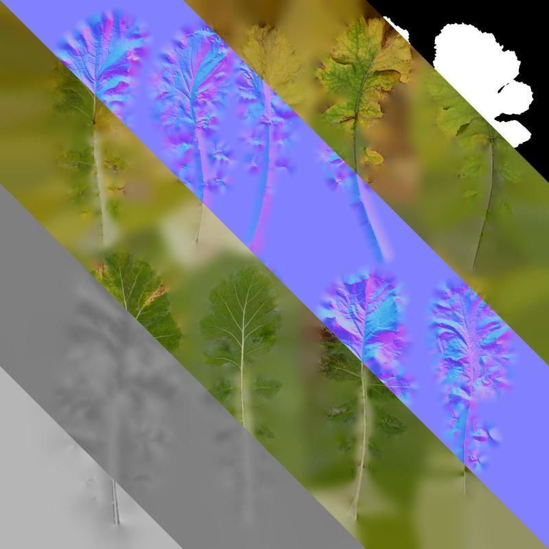 Anydrafts Brassica napus Leaf 05 Texture_8