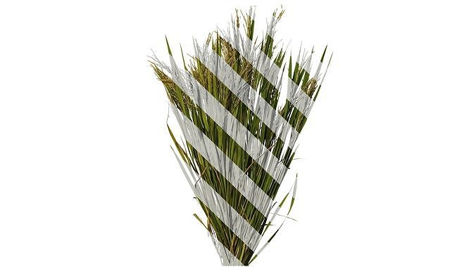 Anydrafts Oryza sativa Atlas 01 Texture
