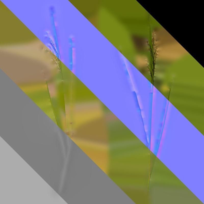 Anydrafts Oryza sativa Atlas 02 Texture_8