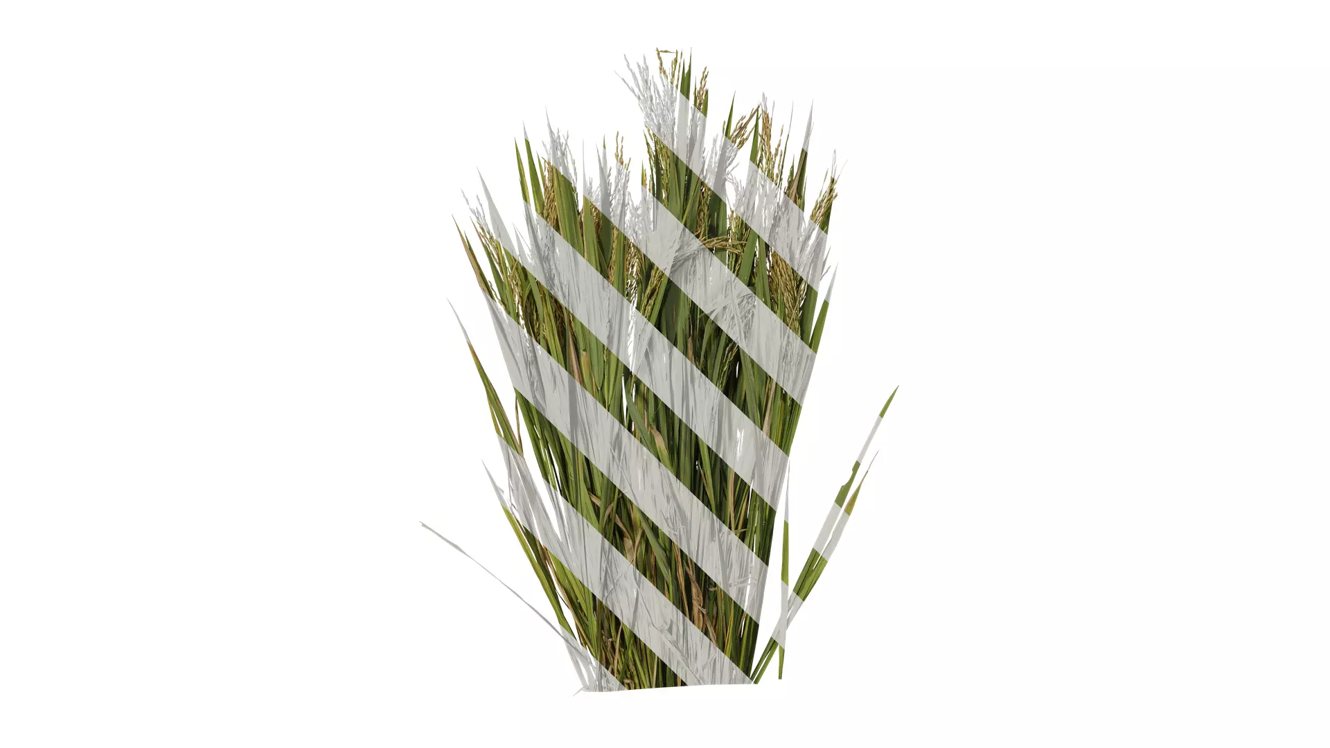 Anydrafts Oryza sativa Atlas 03 Texture