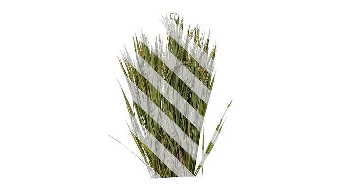 Anydrafts Oryza sativa Atlas 03 Texture