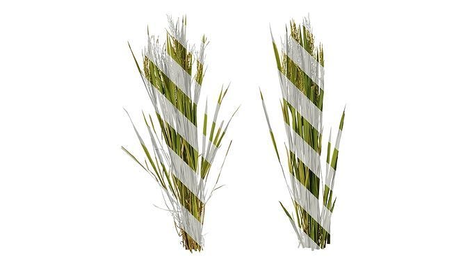 Anydrafts Oryza sativa Atlas 04 Texture