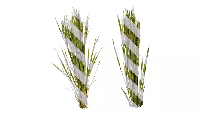 Anydrafts Oryza sativa Atlas 04