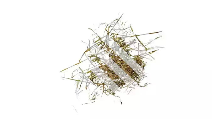 Anydrafts Oryza sativa Atlas 05