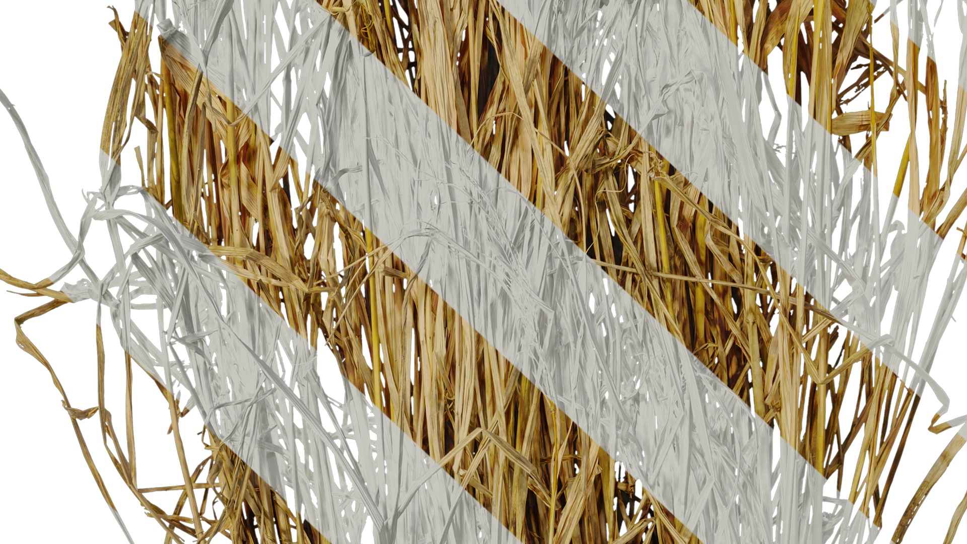 Anydrafts Oryza sativa Atlas 08 Texture_7