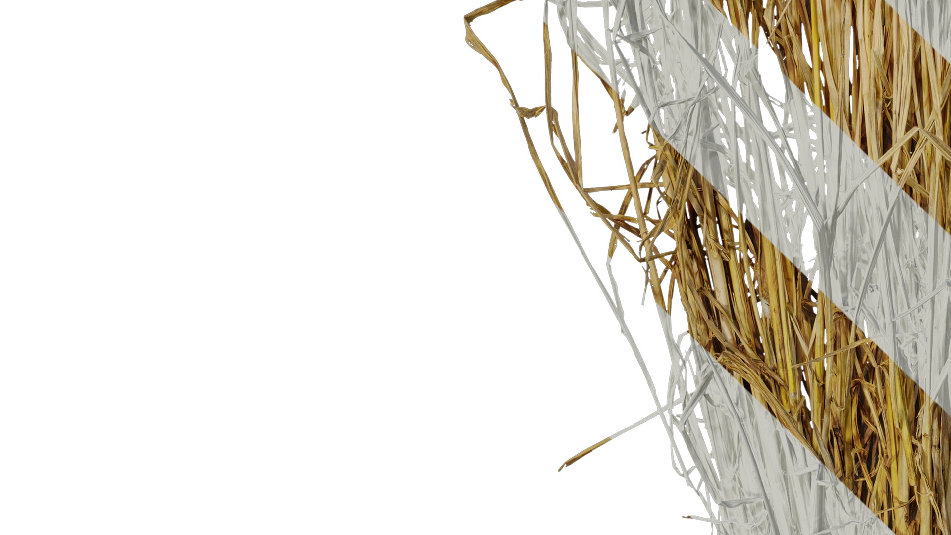 Anydrafts Oryza sativa Atlas 08 Texture_5