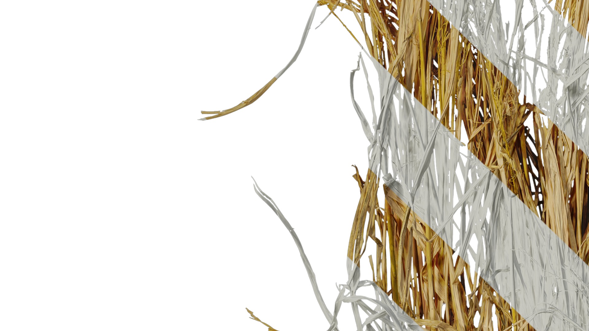 Anydrafts Oryza sativa Atlas 08 Texture_3