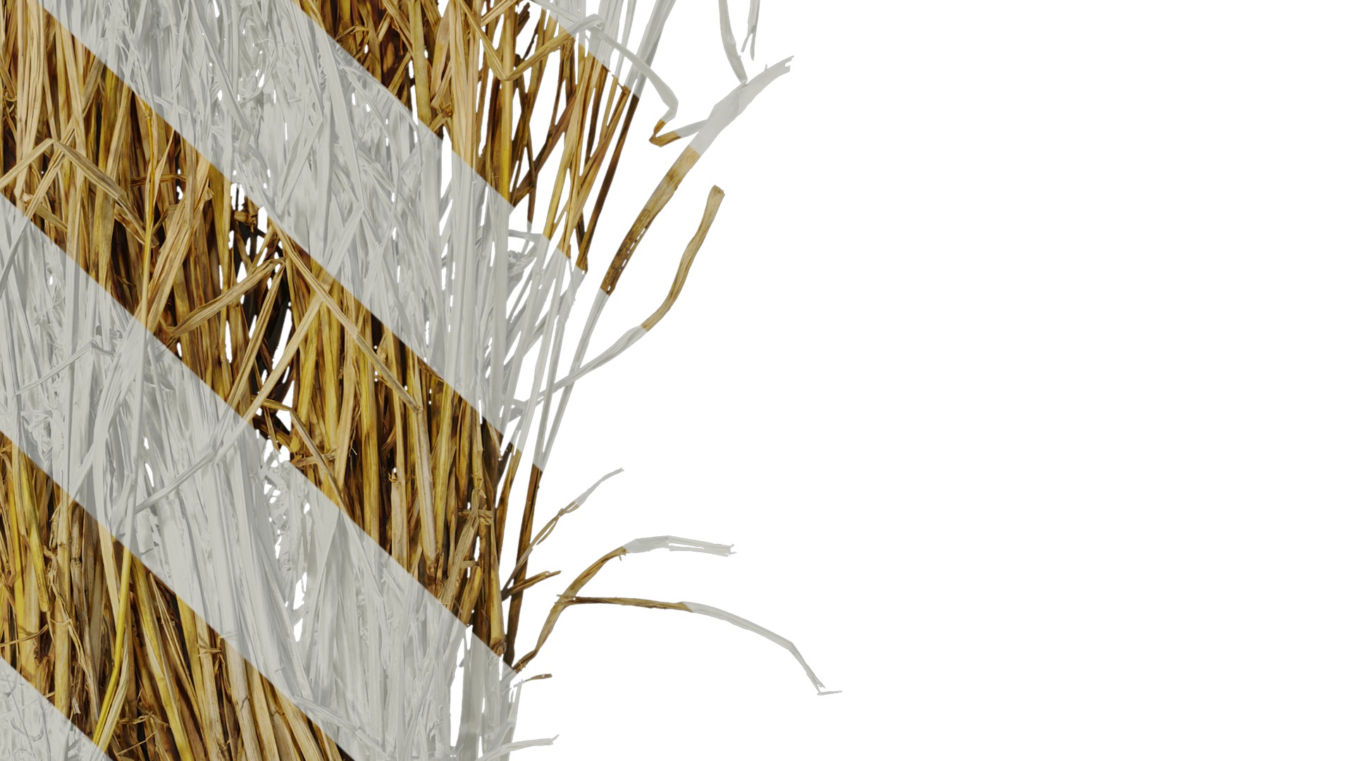 Anydrafts Oryza sativa Atlas 08 Texture_6