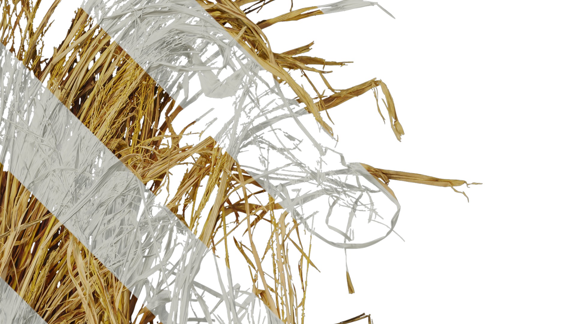 Anydrafts Oryza sativa Atlas 08 Texture_2