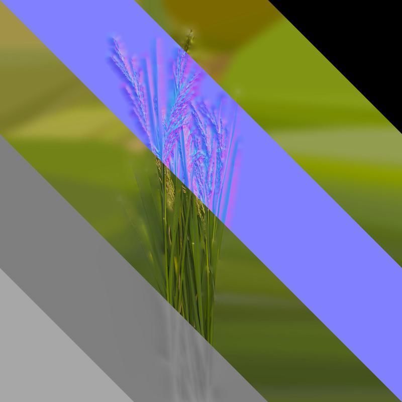 Anydrafts Oryza sativa Atlas 14 Texture_8