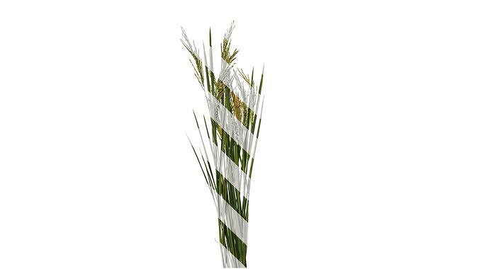 Anydrafts Oryza sativa Atlas 14 Texture