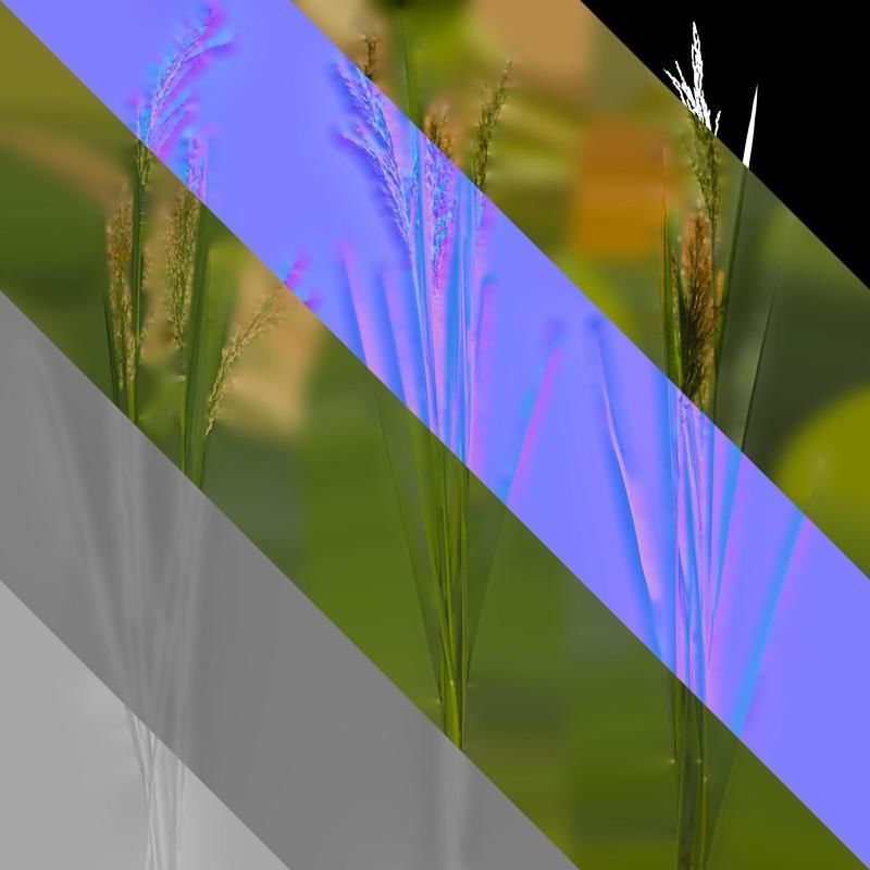 Anydrafts Oryza sativa Atlas 17 Texture_8