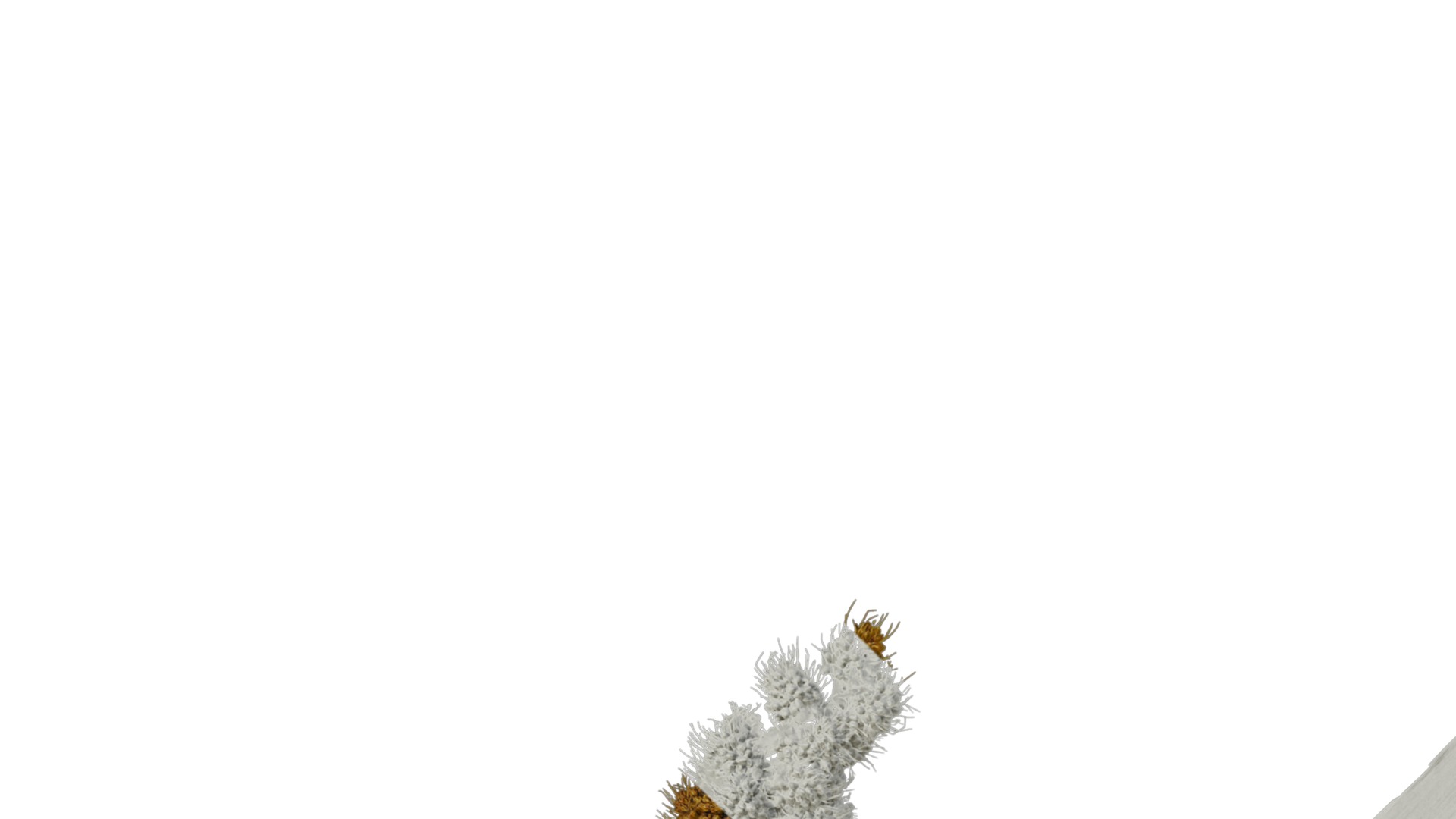 Anydrafts Setaria italica Atlas 02 Texture_1