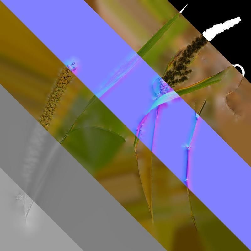 Anydrafts Setaria italica Atlas 02 Texture_8