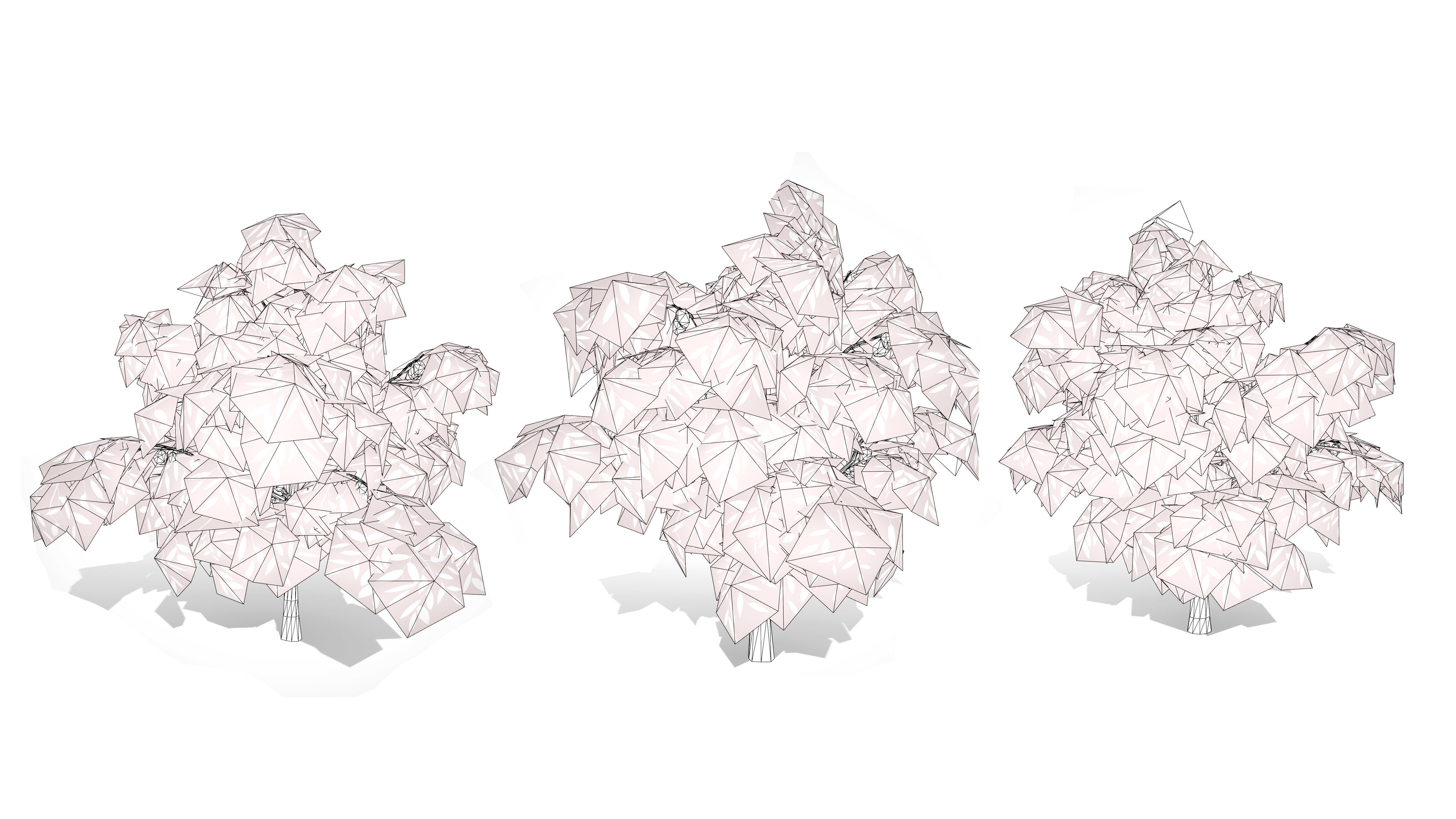 Realistic Cacao Tree 3D Model Low-poly 3D model_13