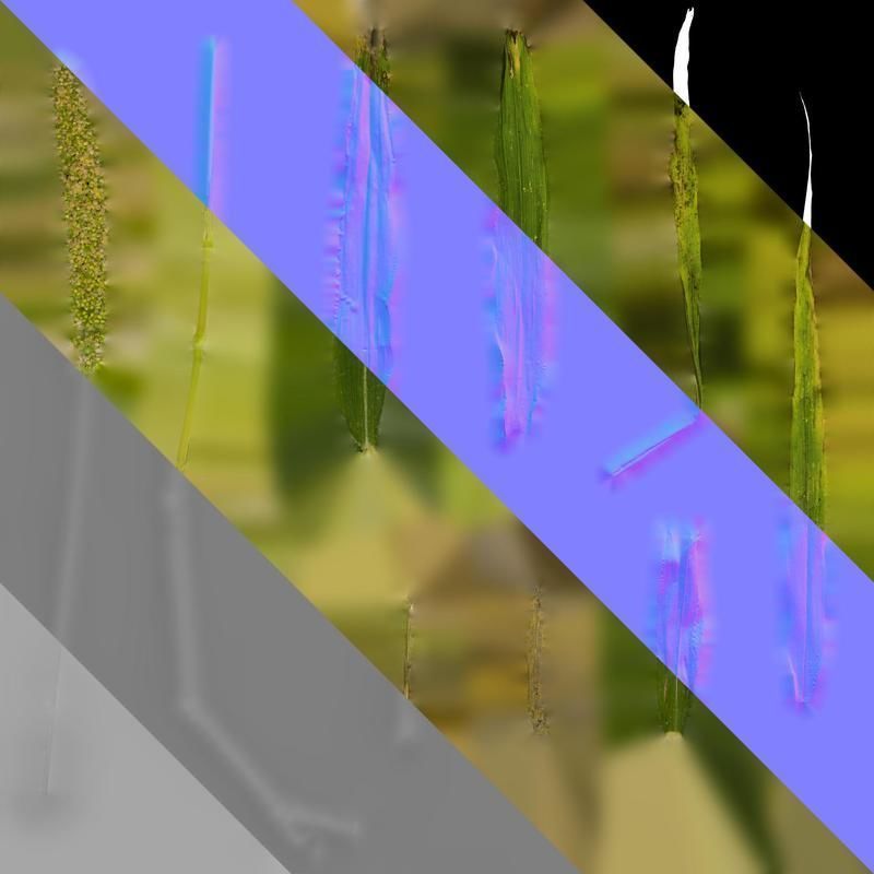 Anydrafts Setaria italica Atlas 04 Texture_8