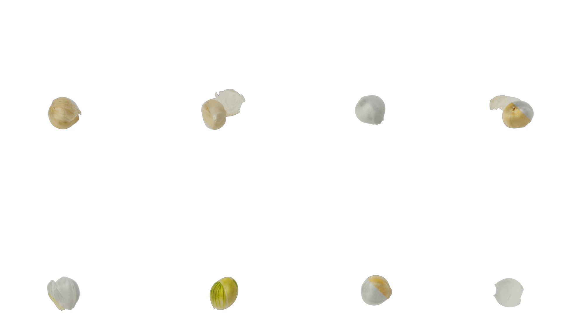 Anydrafts Setaria italica Flower 01 Texture_3