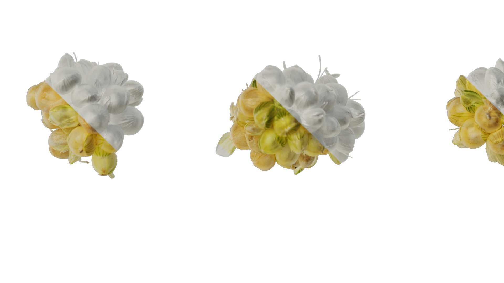 Anydrafts Setaria italica Flower 01 Texture_1