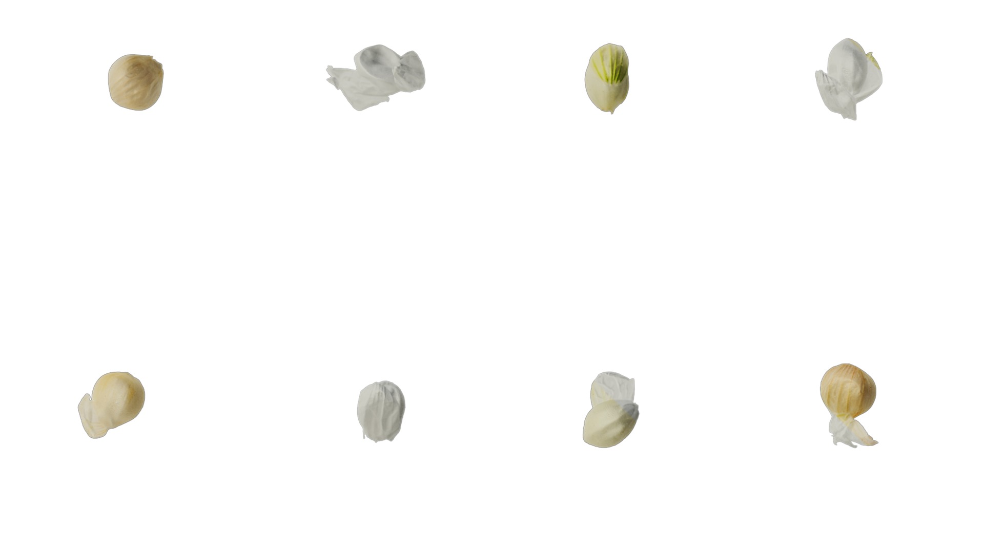 Anydrafts Setaria italica Flower 01 Texture_4