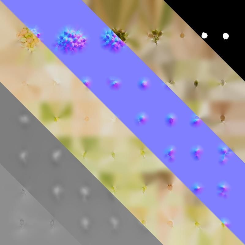 Anydrafts Setaria italica Flower 01 Texture_8