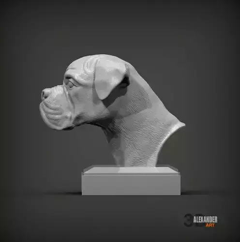 Boxer bust