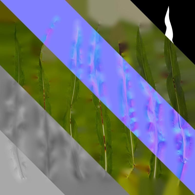 Anydrafts Sorghum bicolor Leaf 01 Texture_8