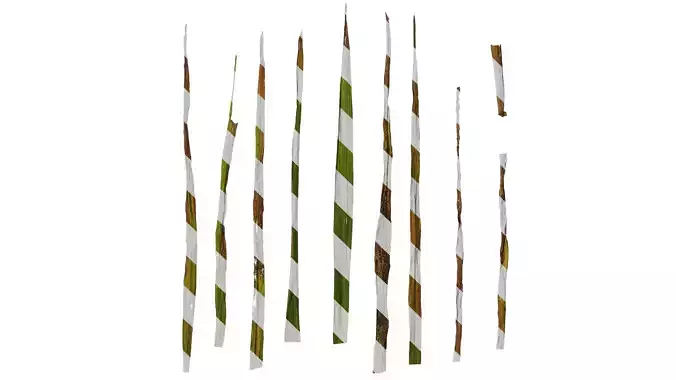 Anydrafts Triticum aestivum Leaf 01