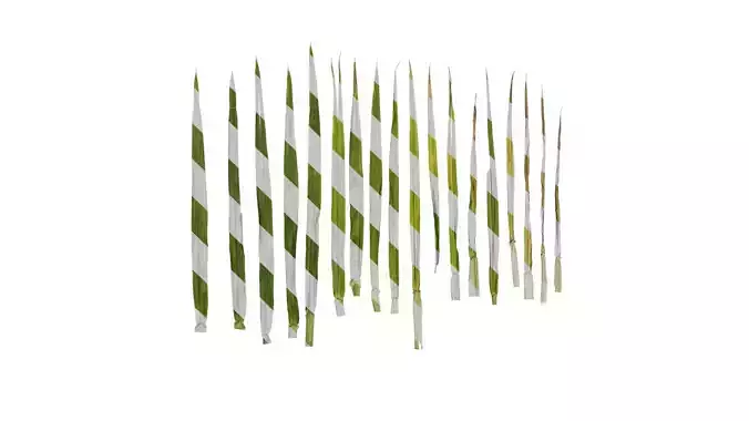 Anydrafts Triticum aestivum Leaf 07 Texture