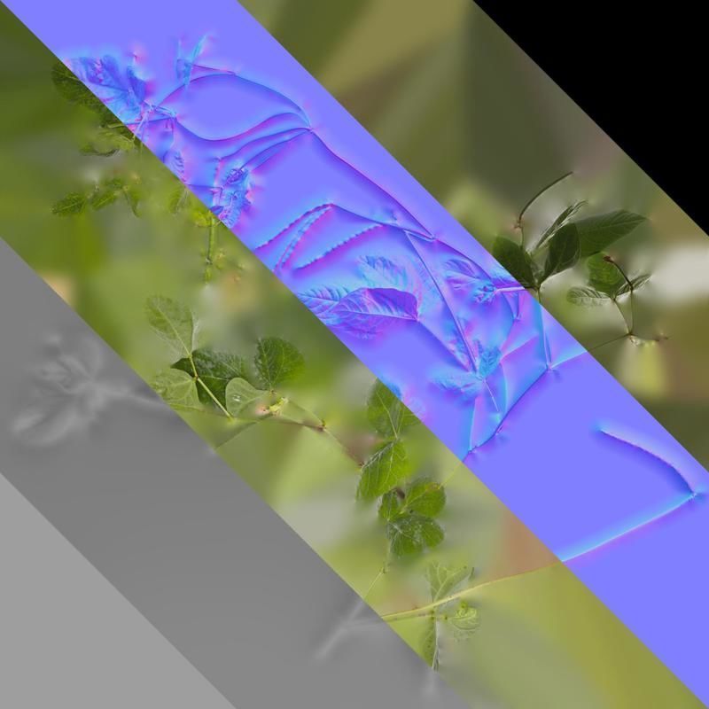 Anydrafts Vigna radiata Atlas 04 Texture_8