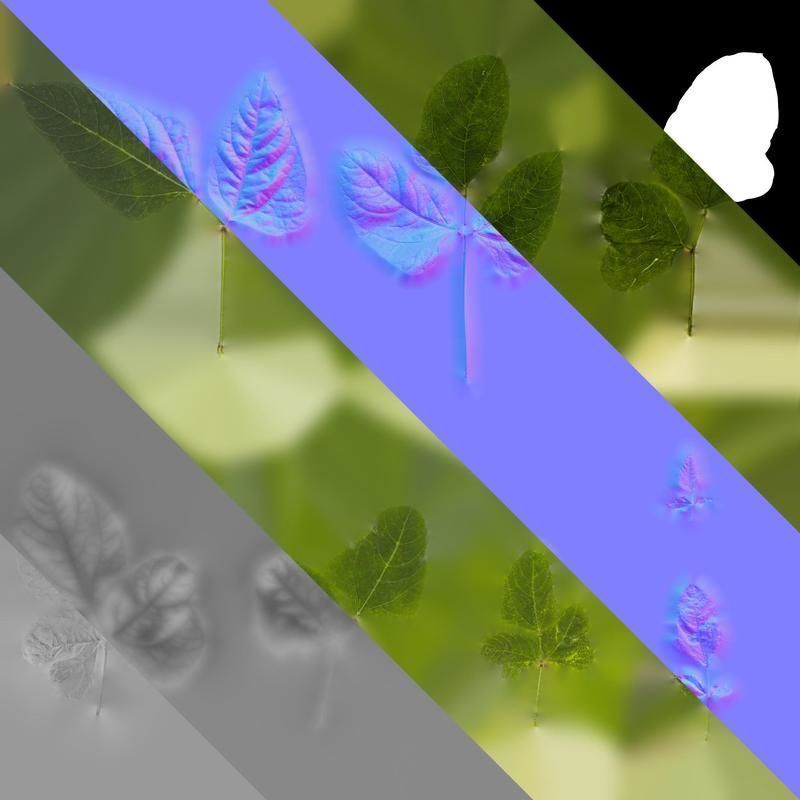 Anydrafts Vigna radiata Leaf 02 Texture_8