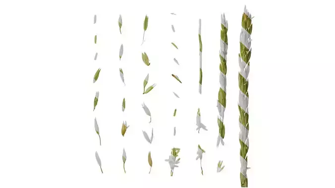 Anydrafts Zea mays Flower 01