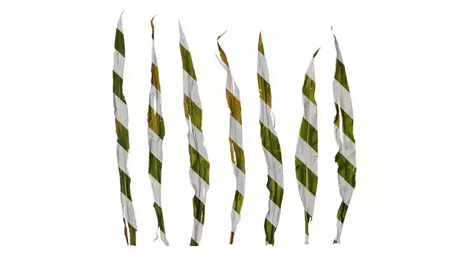 Anydrafts Zea mays Leaf 01