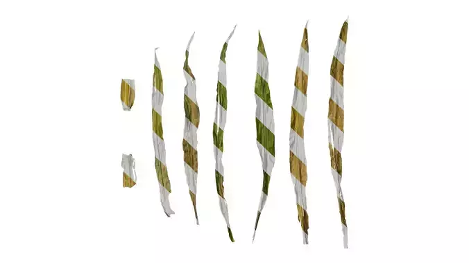 Anydrafts Zea mays Leaf 02