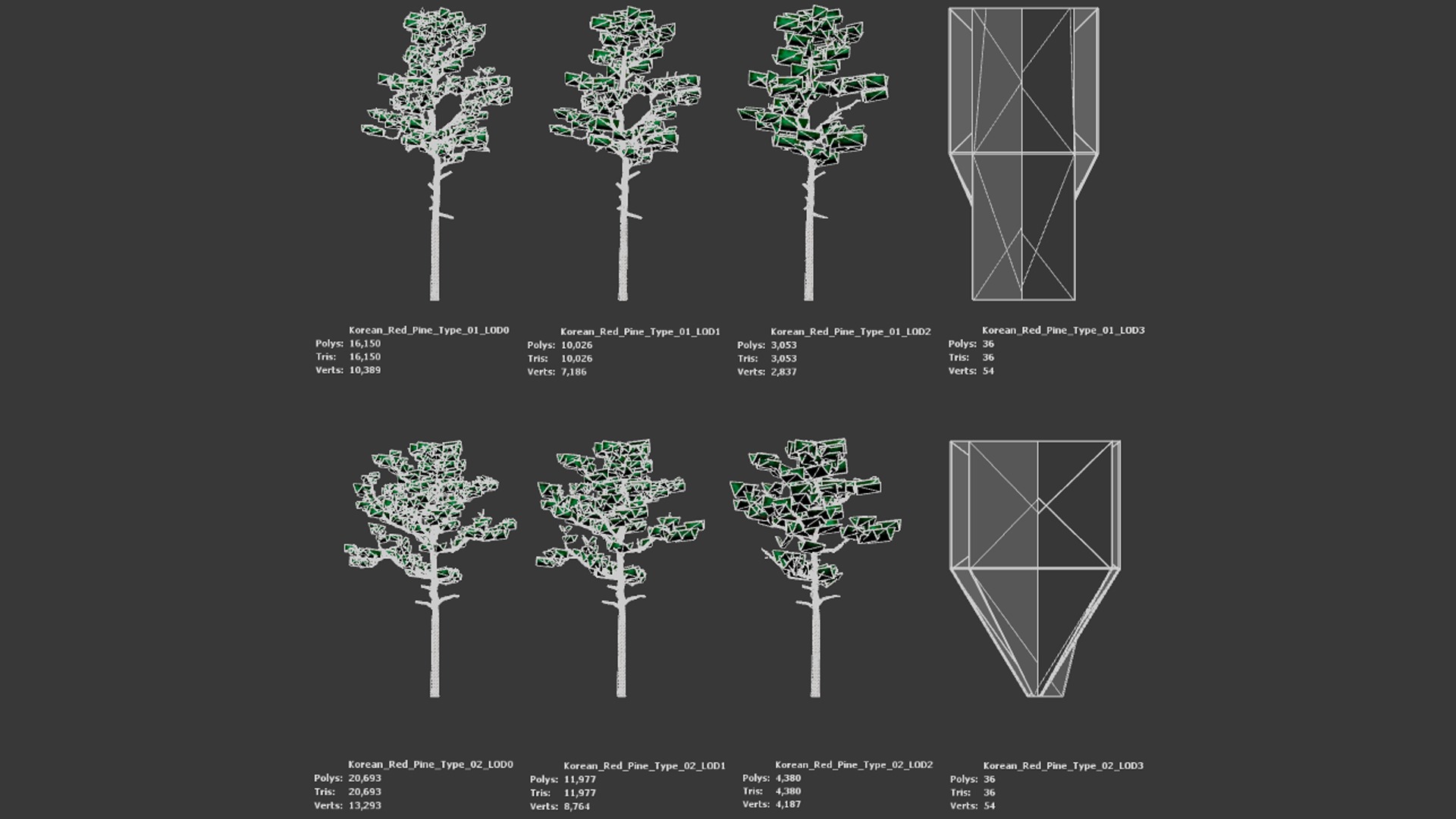 Korean Endemic Species Plant - 4 Korean Red Pine Conifer Tree Low-poly 3D model_8