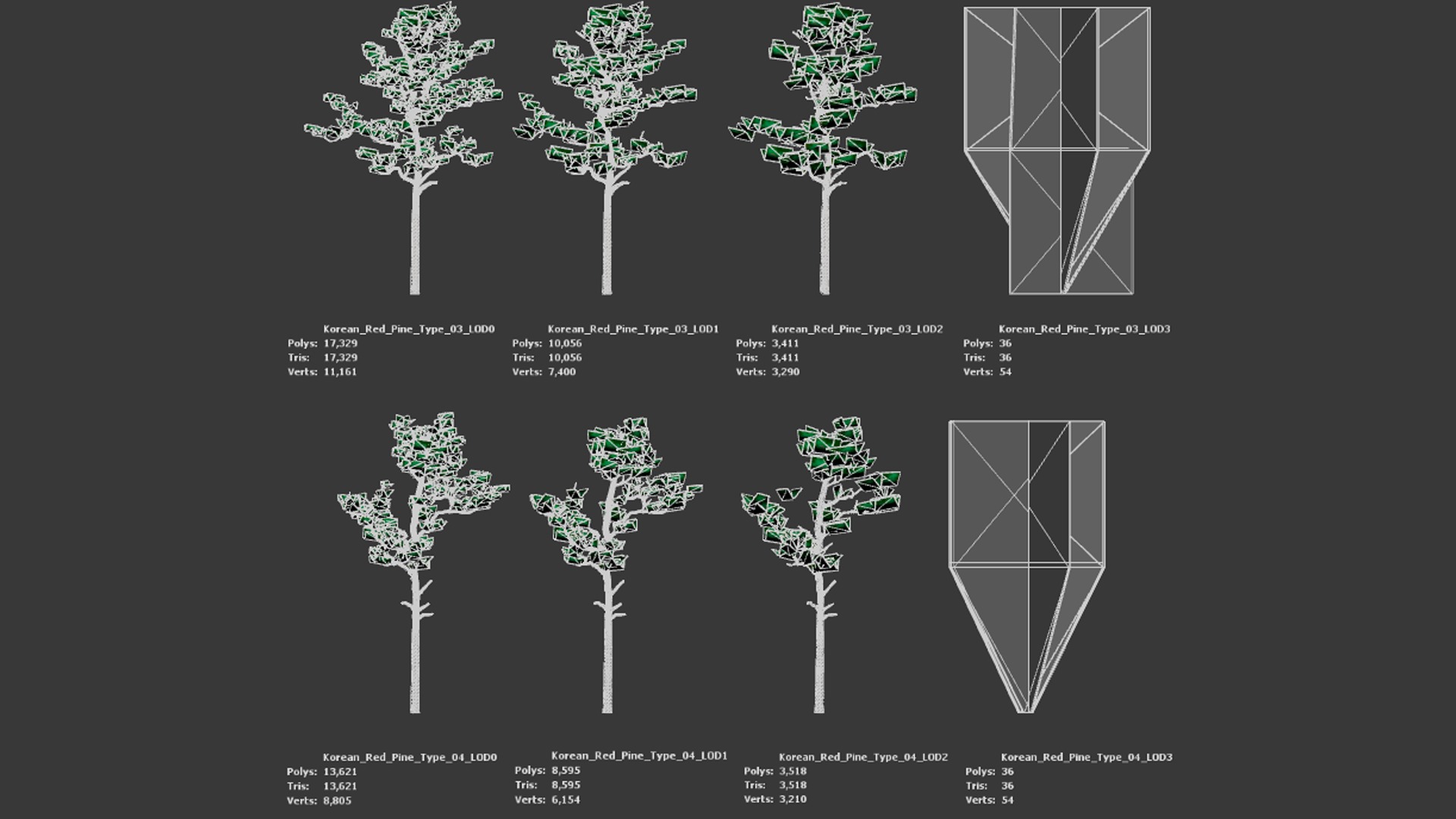 Korean Endemic Species Plant - 4 Korean Red Pine Conifer Tree Low-poly 3D model_9
