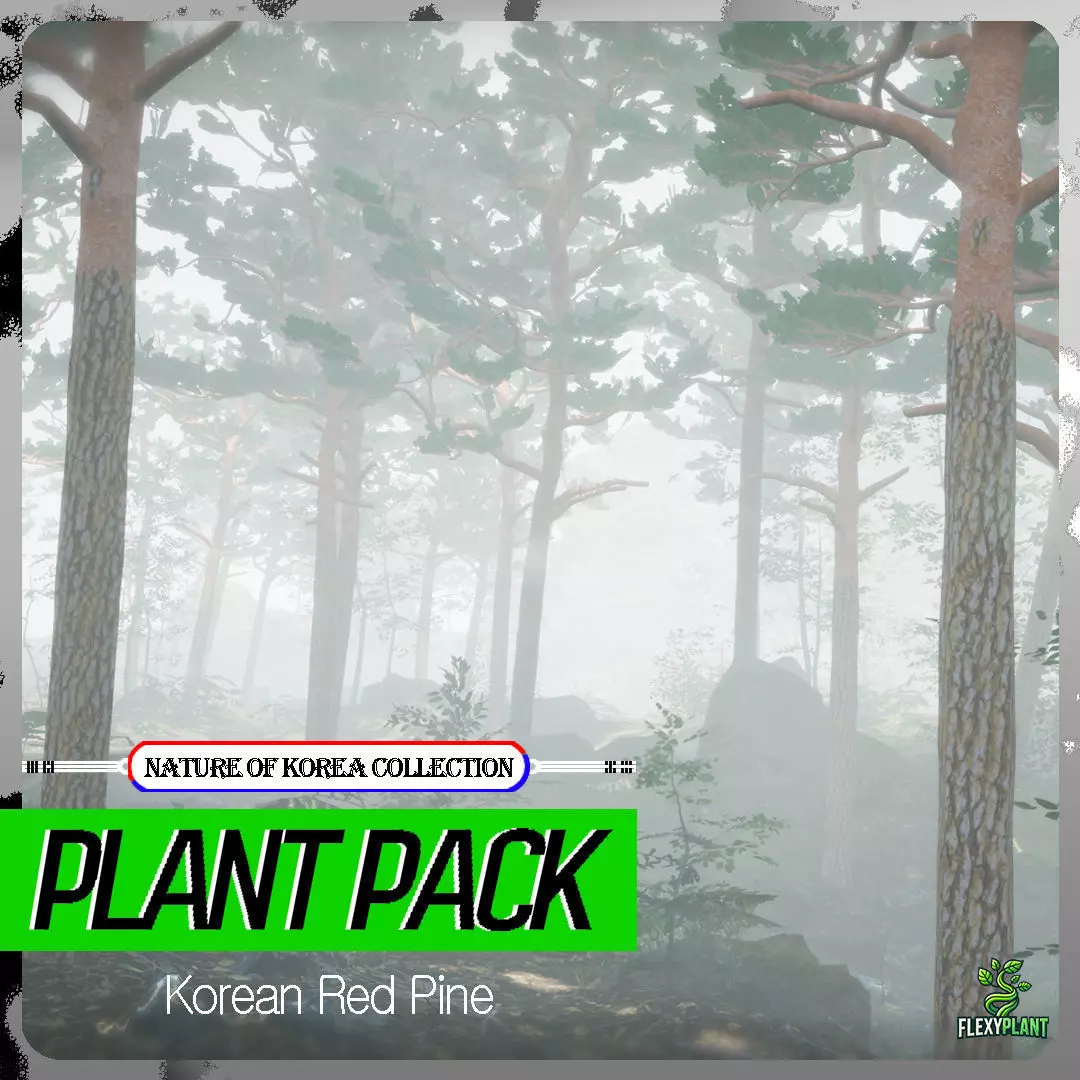 Korean Endemic Species Plant - 4 Korean Red Pine Conifer Tree Low-poly 3D model_0