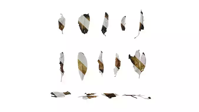 Anydrafts Burnt leaves 01