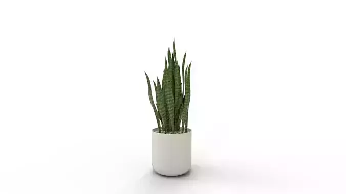 Artificial Snake Plant Plantin Planter 3D model