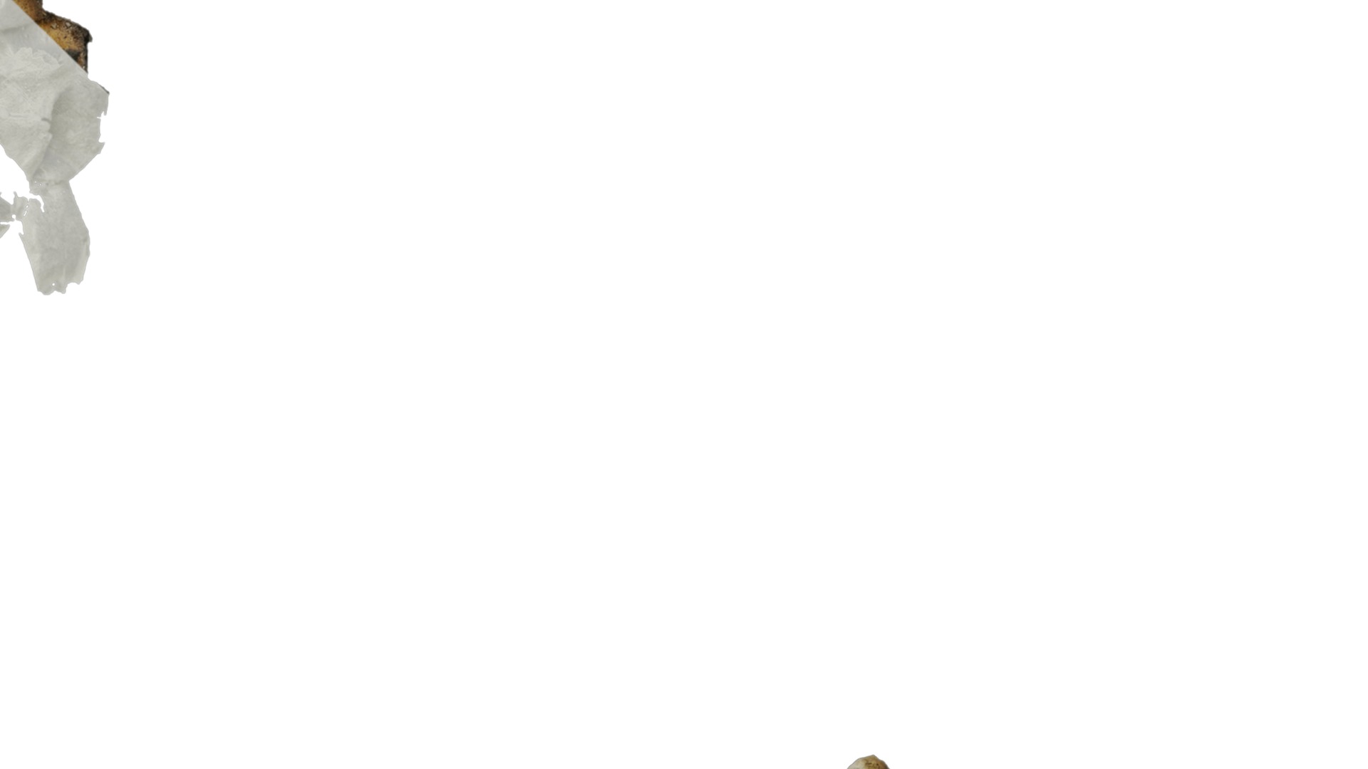 Anydrafts Burnt paper 07 Texture_4